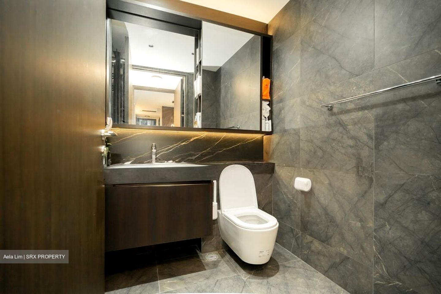 Hyll On Holland (D10), Condominium #496568161